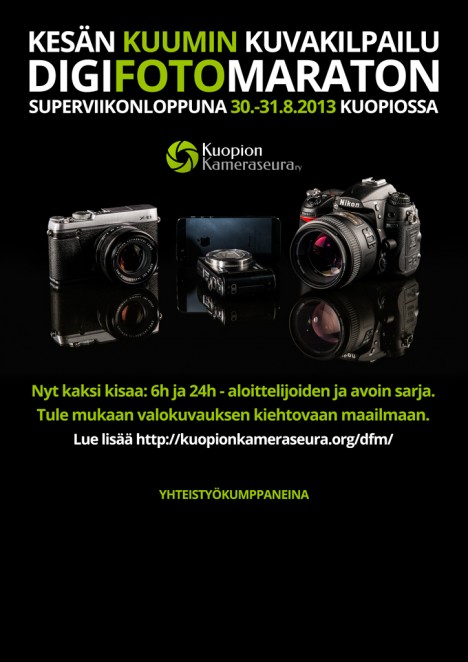 dfm-2013-juliste