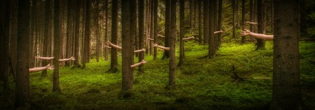 In silent they waved